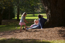 Top Things to See & Do Around the Fal River