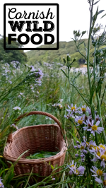 Autumn Foraging on the Fal