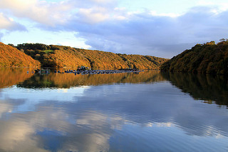 Top Autumn Walks Around The River