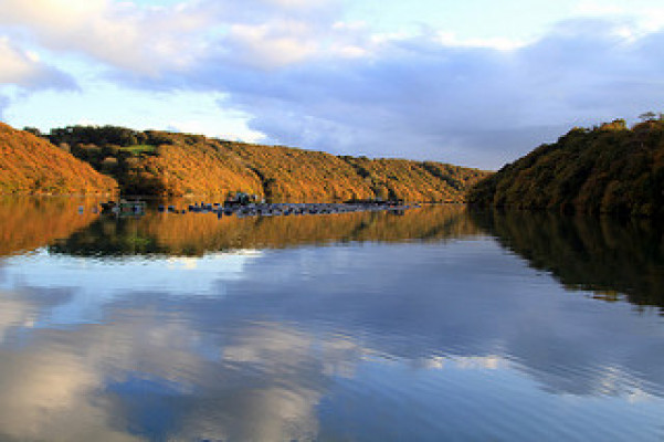 Top Autumn Walks Around The River