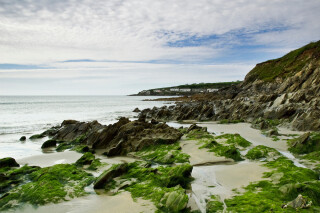Seaweed Harvesting Walk and Body Scrub Workshop