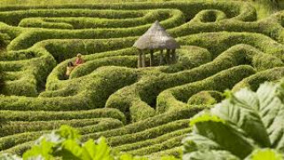 Glendurgan I-Spy Trail