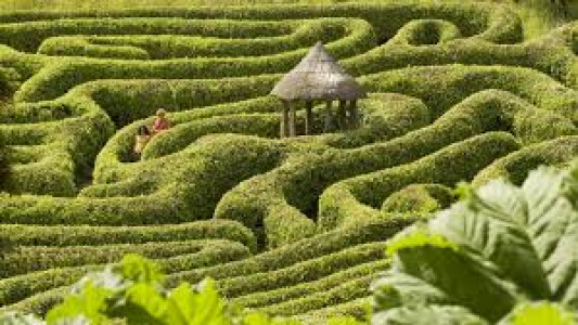Glendurgan I-Spy Trail