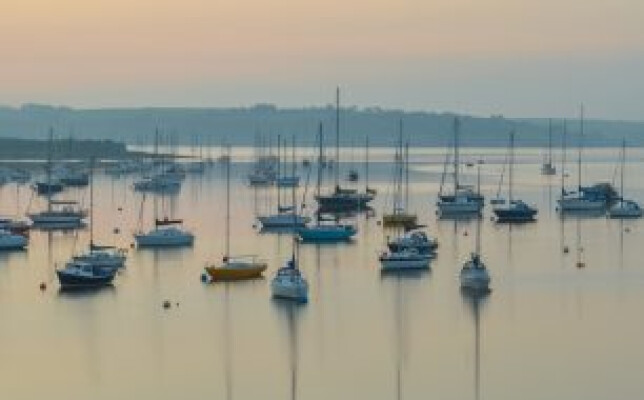 January Offers at The Greenbank