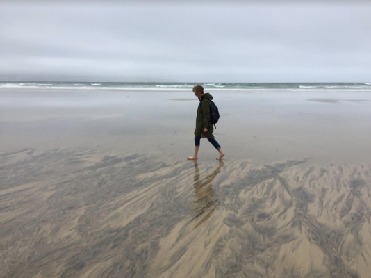 Rosemary Lee | Artist Talk at Falmouth University