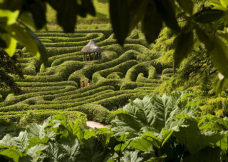 Find the Features Trail