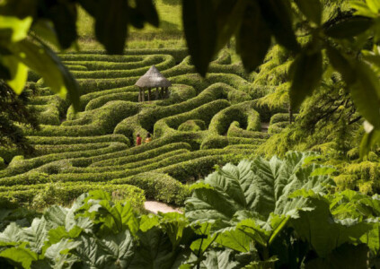 Find the Features Trail