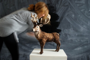 Open Studios :: Rebecca McDonald