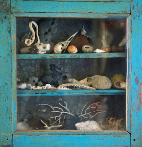 Open Studios :: Lisa Woolett