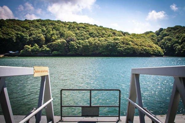 Trelissick Ferry: Tidal Disruption to Services