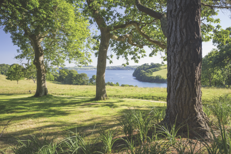 NEW Ferry Route Launched between St Mawes and Trelissick