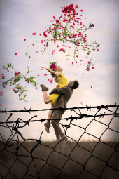 Top Things to do in July