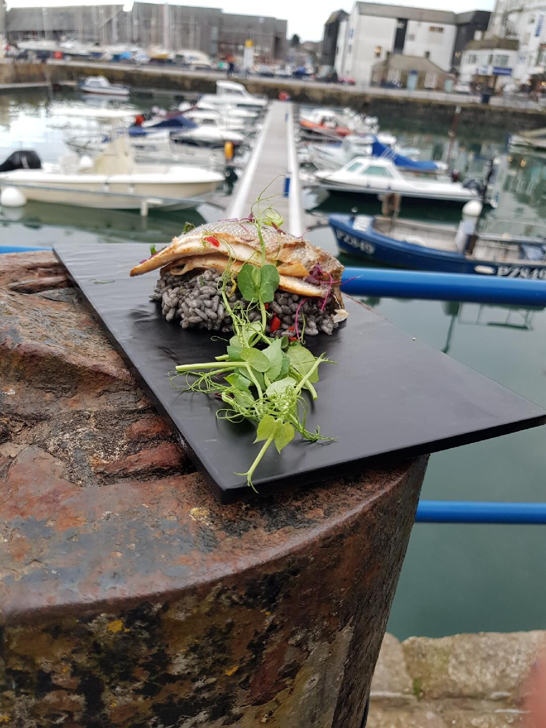 Guest Recipe Pan Fried Sea bass with risotto nero and wild garlic pesto.