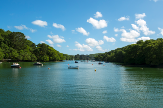 A Guide to Helford, the dog-friendly haven on Cornwall’s South Coast