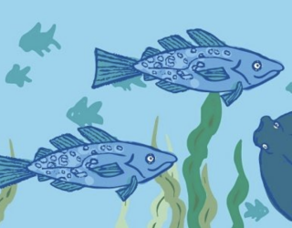 Kids eat for £1 at Rick Stein’s Fish, Falmouth