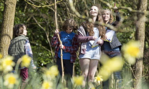 Signs of spring children's trail