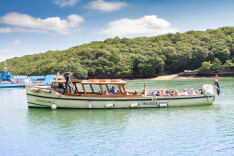 More about Kingsley II & HEVIMA