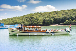 More about Kingsley II & HEVIMA