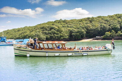 More about Kingsley II & HEVIMA