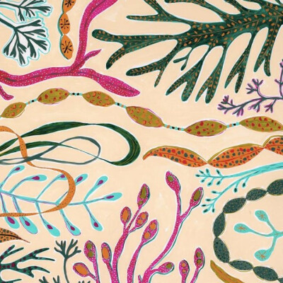 Shell Seekers Painting Workshop with Lucy Innes Williams