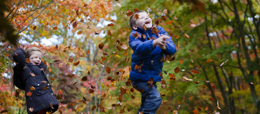 Autumn Children's Trail