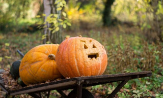 Pumpkin Carving in the Stables