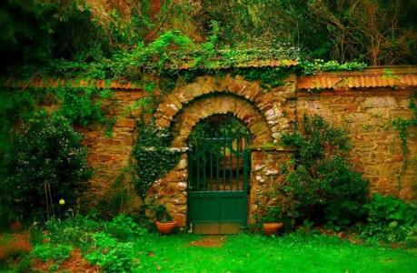A Celebration of Autumn at Enys Gardens