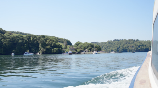 Nanny Pat's Review of The Kingsley II