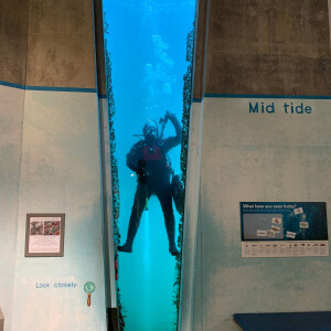 Underwater Scuba Show