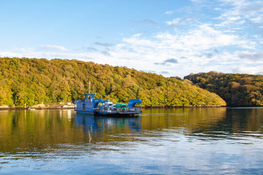 Fal Mussel Card
Local