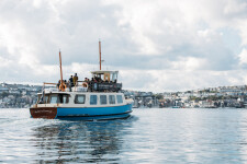 Fal Mussel Card Visitor