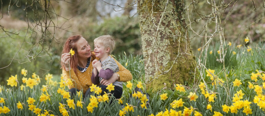 Daffodil Weekend at Trelissick