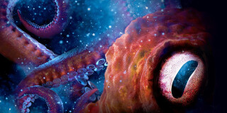 Maritime Museum Reopens on Monday 27 July