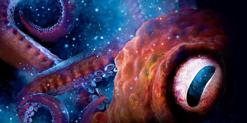 Maritime Museum Reopens on Monday 27 July