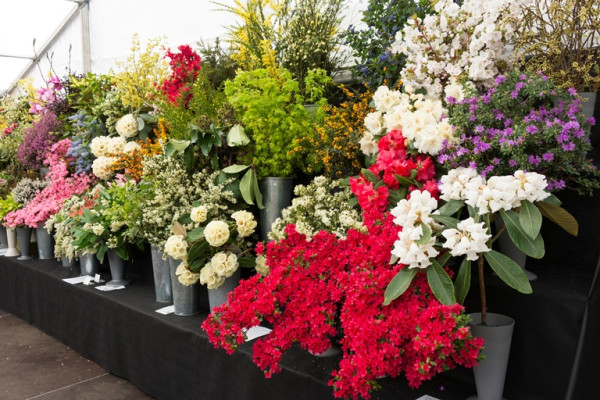 Cornwall Garden Society Evening Lecture