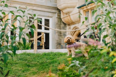 Our Atlantic Roots at The Alverton Summer Garden Sessions