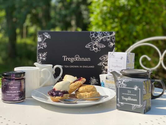 Tregothnan Cream Tea Gift Box Now Available