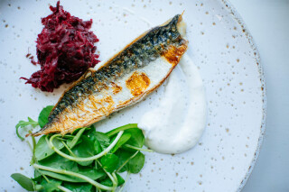 Fish in a day at Philleigh Way