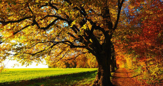 Top Things To Do in October 2022