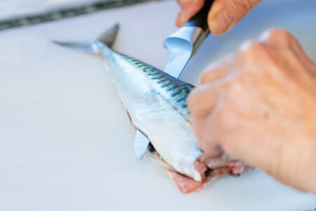 Knife Skills Course at Philleigh Way