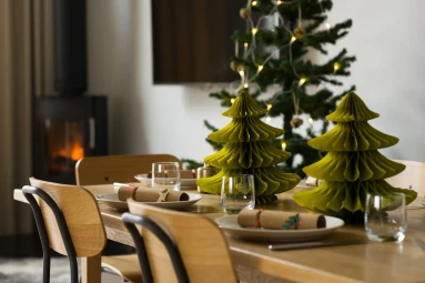 Guest Blog : How to have a Sustainable Christmas