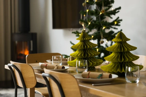 Guest Blog : How to have a Sustainable Christmas