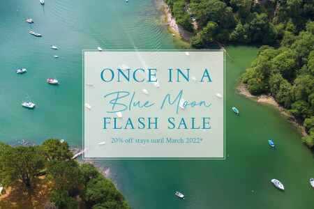Once in  Blue Moon Flash Sale