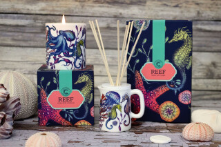 WIN a Reef Gift Set from Cream Cornwall & Sparkling Cream Tea at The Idle Rocks