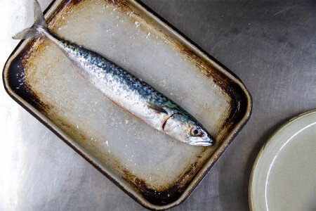 Fish in a Day at Philleigh Way