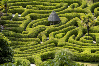 Volunteer for Glendurgan Garden