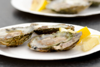 Falmouth Oyster Festival