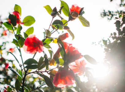 Guest Blog: Hotel Meudon