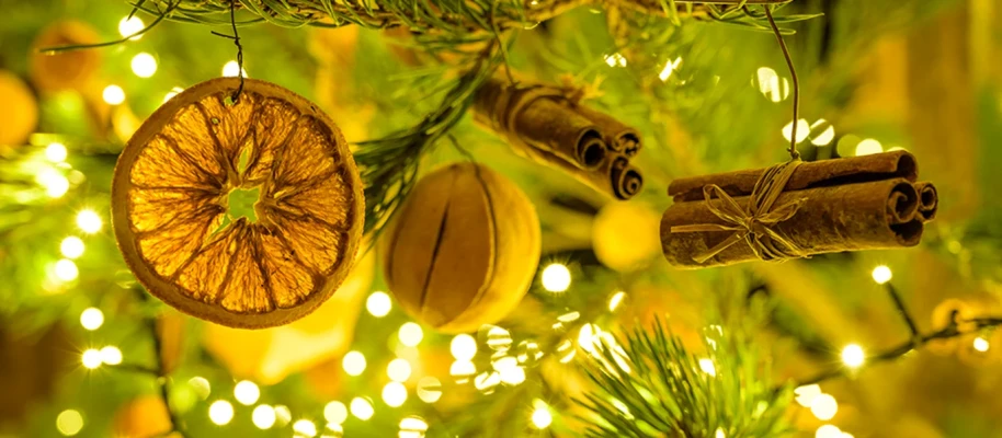 Top Things To Do in December 2022