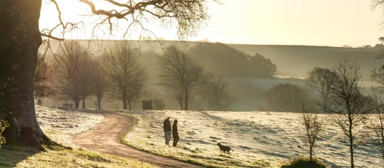 Sunrise walk at Trelissick